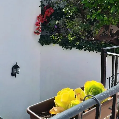 Casa Del Artista-can Roca Сasa de vacaciones Alcúdia