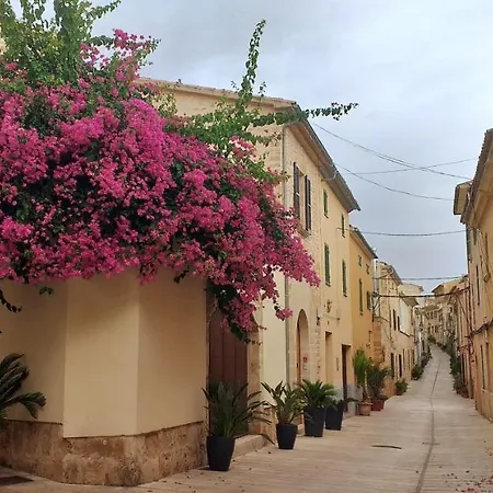 Casa Del Artista-can Roca *