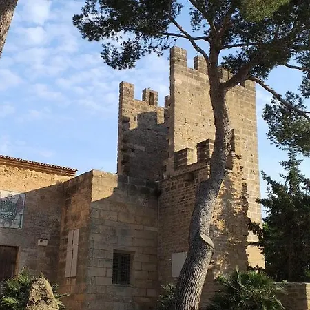Casa Del Artista-can Roca Holiday home