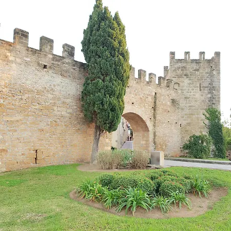 Casa Del Artista-can Roca