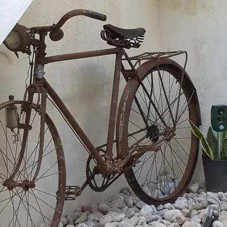 Casa Del Artista-can Roca * Alcudia (Mallorca)